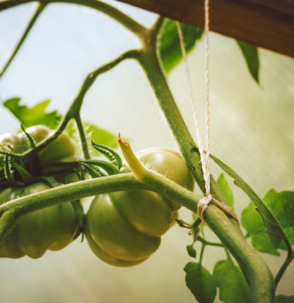 SeaTwine™ for Farming